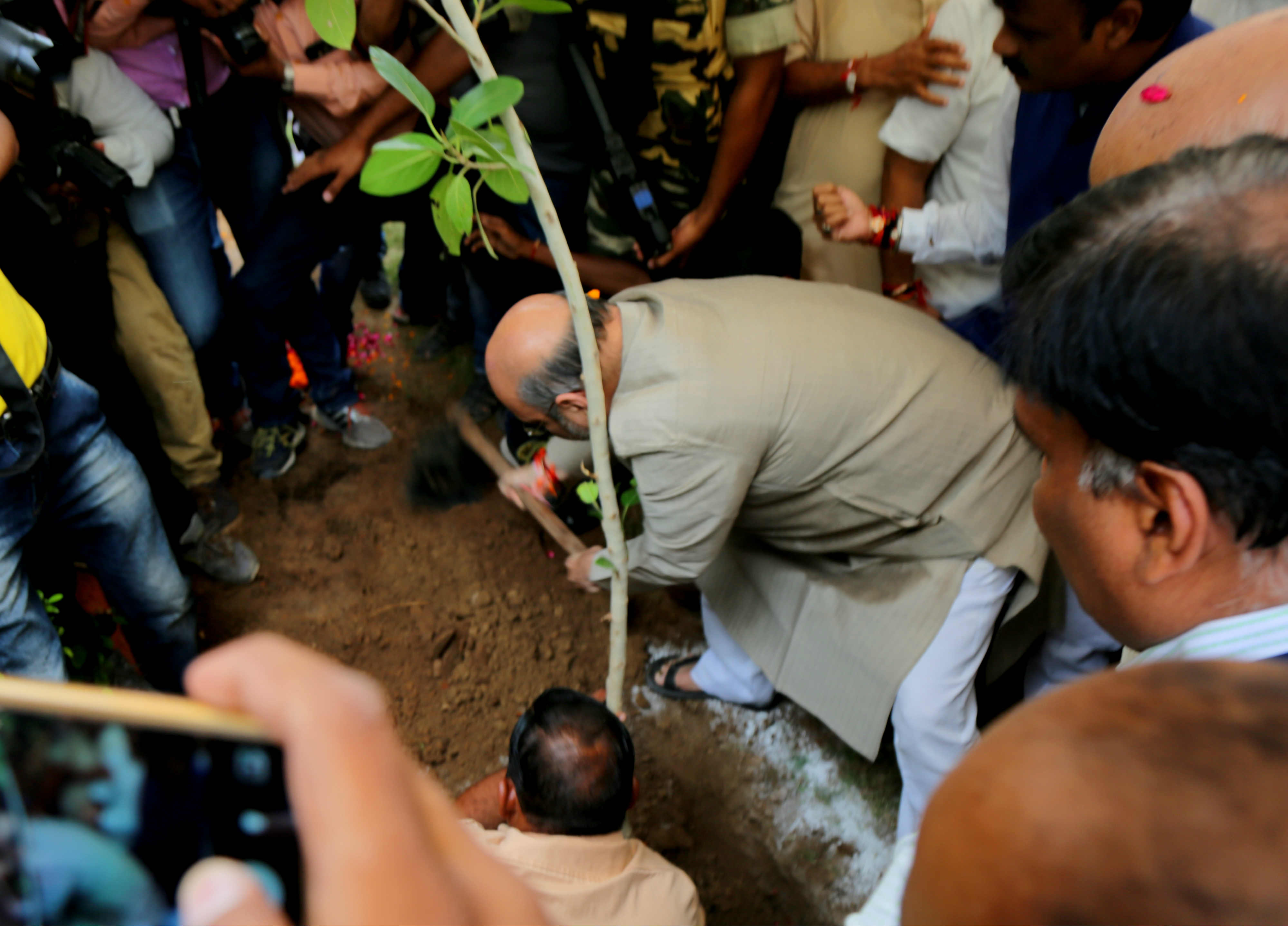 BJP National President, Shri Amit Shah planted saplings of Banyan & Peepal (Ficus) under Green Action Plan in Naranpura Assembly, Ahmedabad (Gujarat) on August 19, 2016